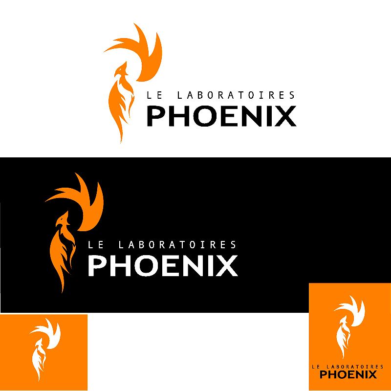 Phoenix imagery based Logo for tech company, a Logo & Identity project