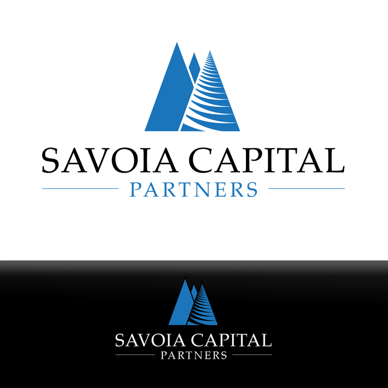 Professional Company Logo for an Investment Firm, a Logo & Identity